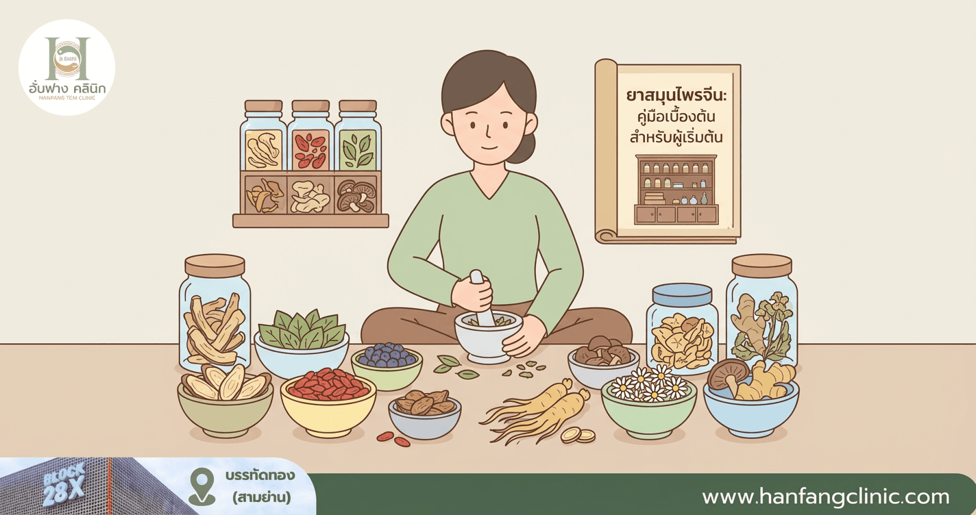 ยาสมุนไพรจีน: คู่มือเบื้องต้นสำหรับผู้เริ่มต้น